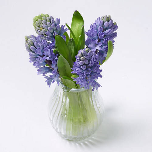  Product Image Front shot 03