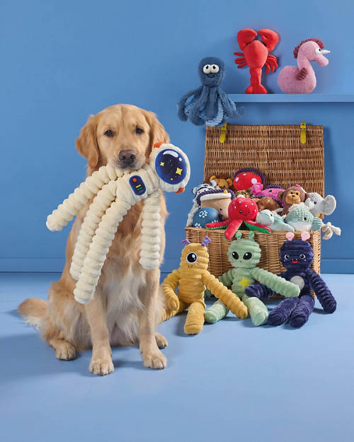 Lifestyle 1, Jumbo Dog Toy