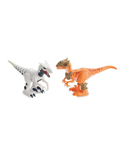 Front shot 2, Dino Wars/Magic Bird