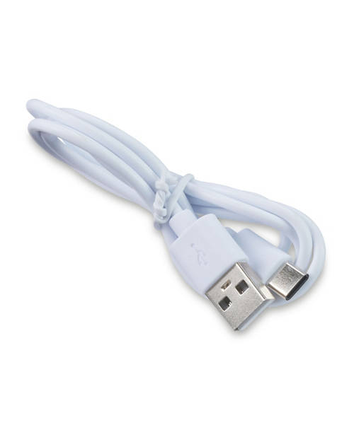 Details 2, St Ives Lantern