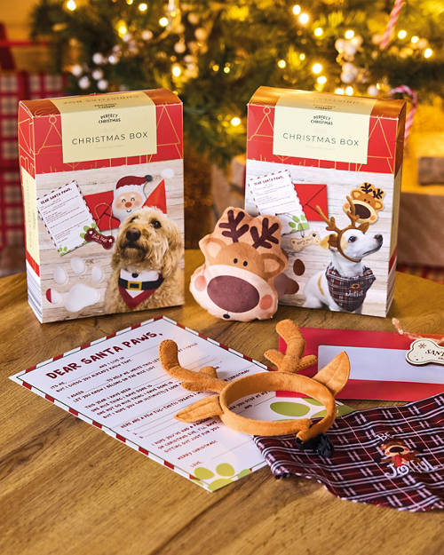 Lifestyle 1, Pet Christmas Box