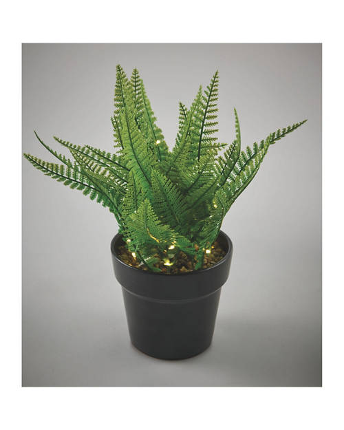 Details 1, LED Plant
