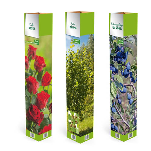 Skupina 1, Sadike dreves/vrtnica