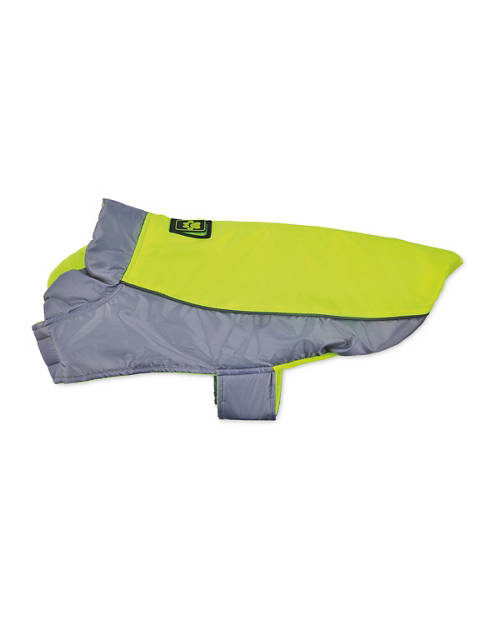 Details 1, Neon Dog Coat