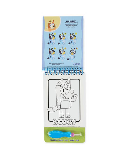 Details 1, Bluey Activity Book