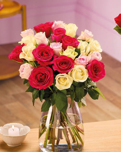 Double Dozen Romantic Roses