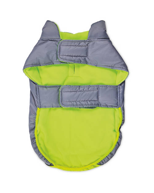 Details 2, Neon Dog Coat