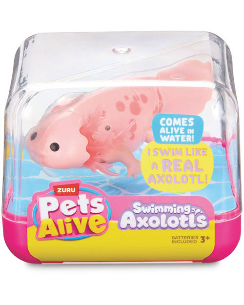 Front shot 2, Aquatic Toy