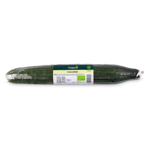 Organic Cucumber