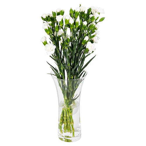 Front shot 5, Carnations