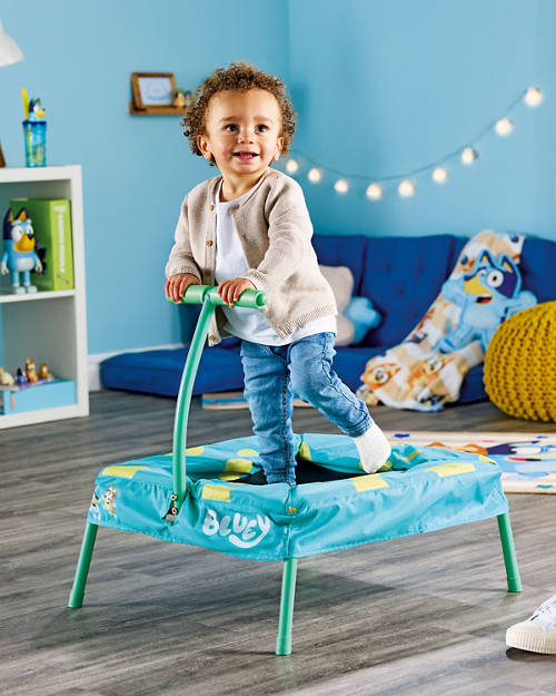 Lifestyle 1, Bluey Trampoline