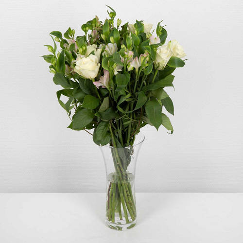  Product Image Front shot 02