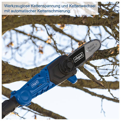 Details 3, Akku Hochentaster C-PHTS410-X