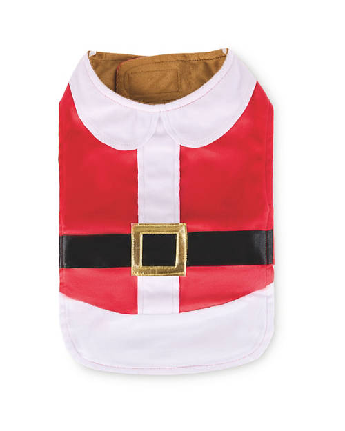 Back shot 1, Festive Pet Coat