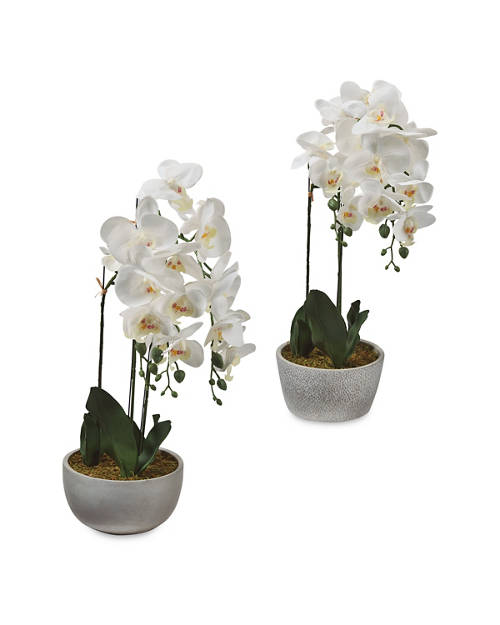  Product Image Group 01