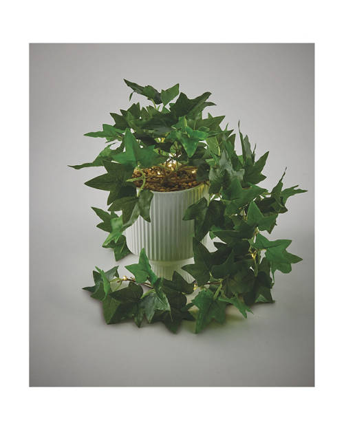 Details 1, LED Plant
