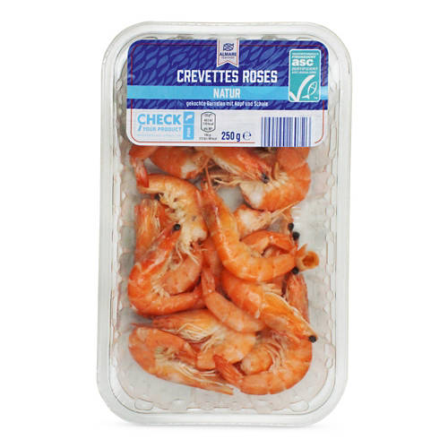 Vue de face 2, Crevettes roses ASC