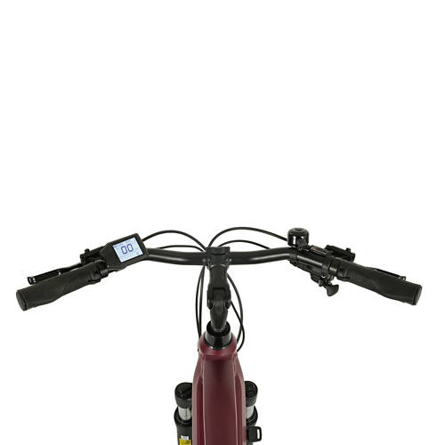 Details 2, Trekking E-Bike Damen Entdecker 2.3.