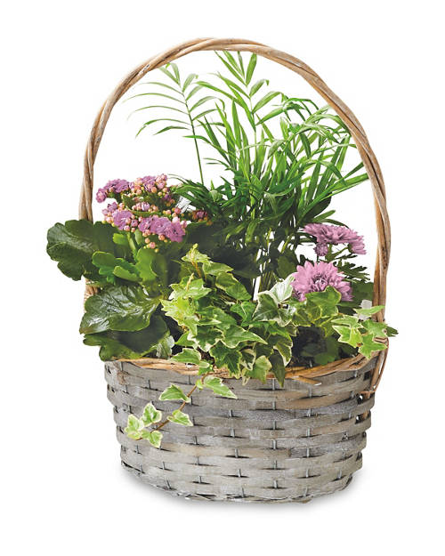 Mothers Day Gift Basket