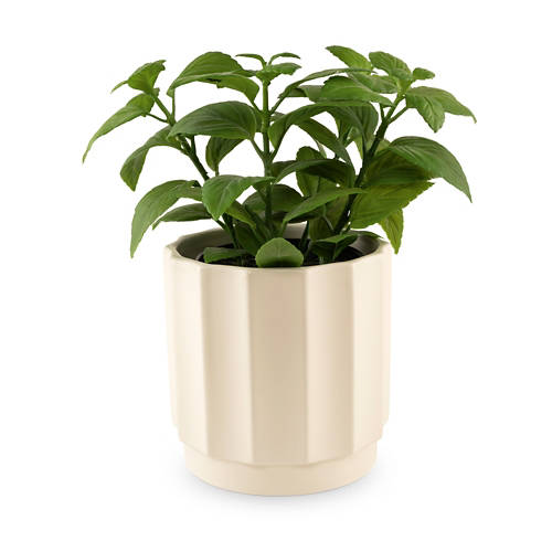 Podrobnosti 1, Cvetlični lonec