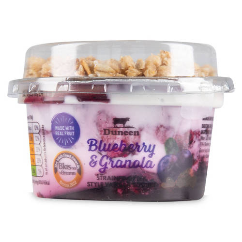 Blueberry & Van Yogurt Granola