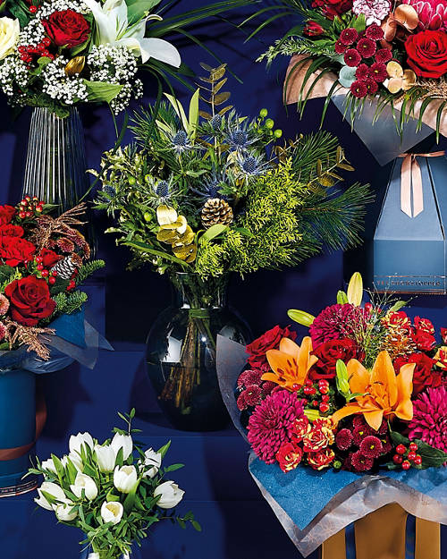 Front shot 1, Deck The Halls