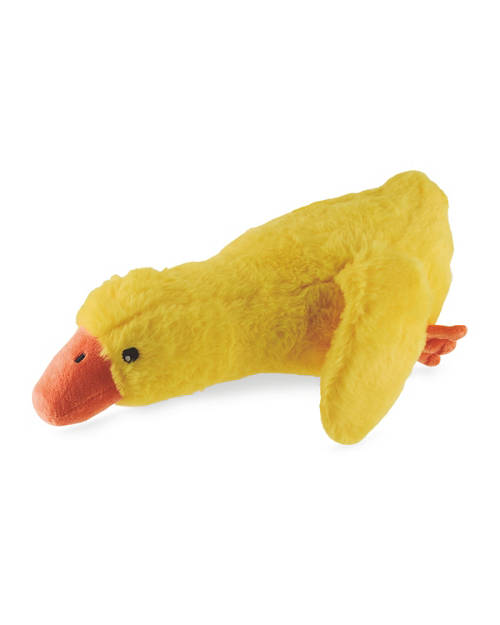 Front shot 1, Honking Birds