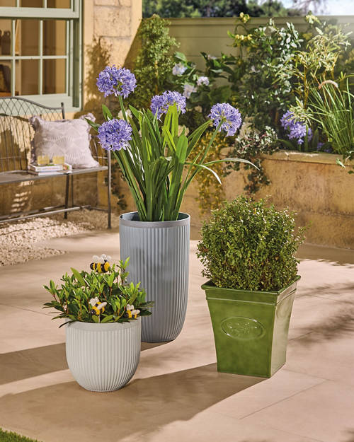 Lifestyle 1, Large Square Olive Planter