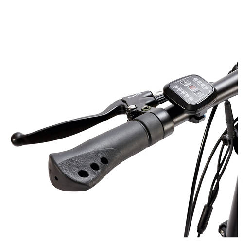 Details 2, E-Mountainbike MB10 Platin