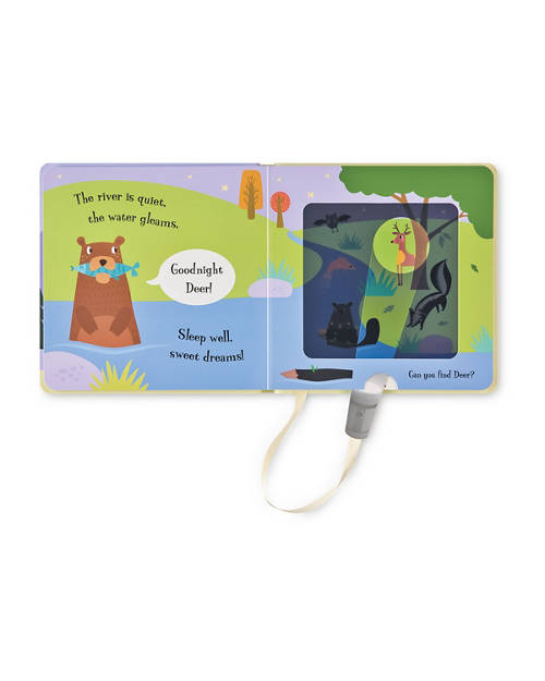 Details 1, Magic Torch Book