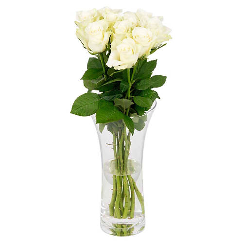 Front shot 5, Roses