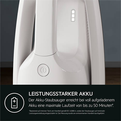 Details 5, Akkusauger 2in1