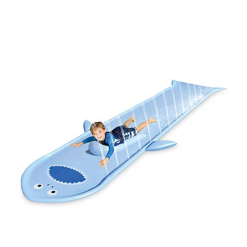 Détails 1, Toboggan aquatique, Requin