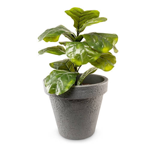 Podrobnosti 1, Okrasni cvetlični lonec