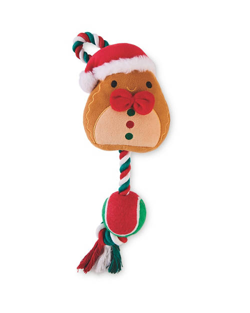 Front shot 1, Rope Tugga Toy