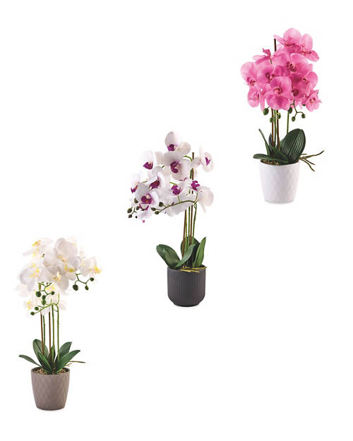 Group 1, Artificial Orchid