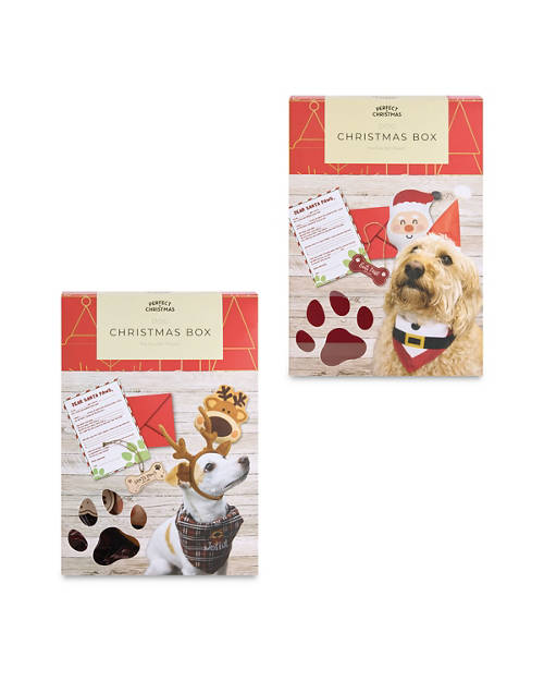 Group 1, Pet Christmas Box