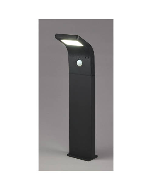 Details 1, Sensored Solar Pathlight