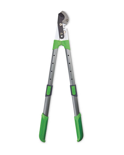 Details 1, Gear System Loppers