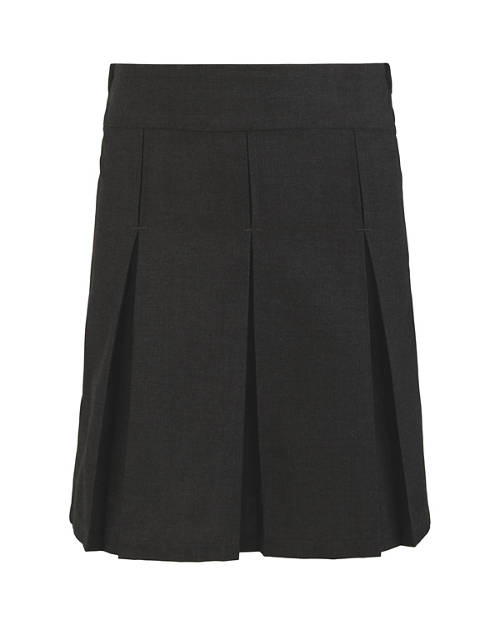 Pleated Skirt