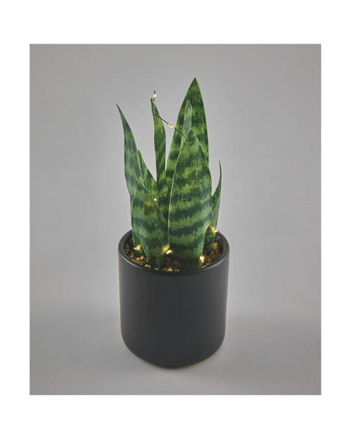 Details 1, LED Plant