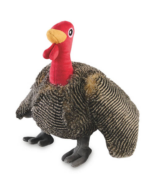 Front shot 1, Poultry Dog Toy