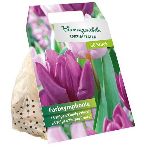 Détails 2, Bulbes de fleurs «Symphonie de couleurs»