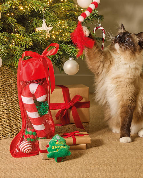 Lifestyle 1, Cat Christmas Stocking