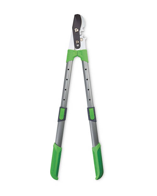 Details 1, Gear System Loppers