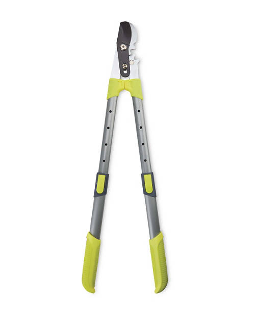 Details 1, Gear System Loppers