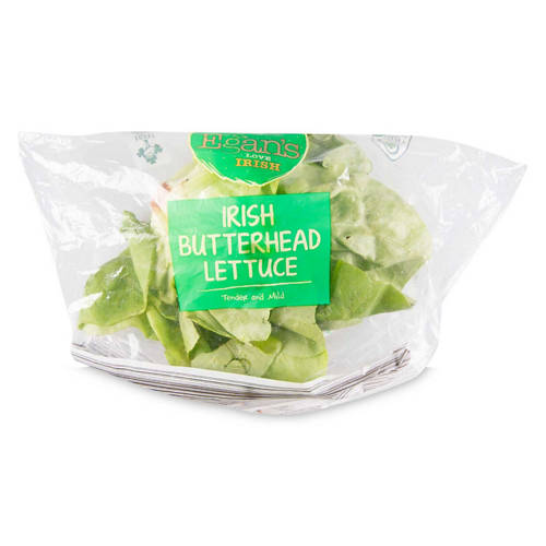 Butterhead Lettuce