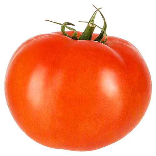 Front shot 2, Beef Tomato