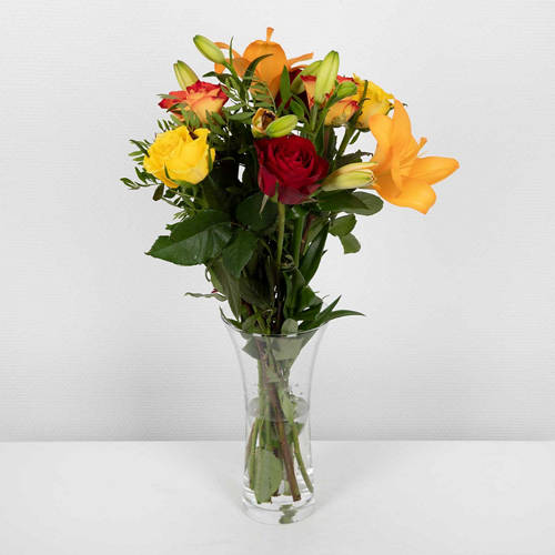  Product Image Front shot 03