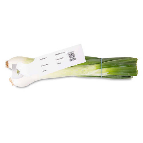 Jumbo Scallions